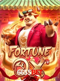 6655BET.COM